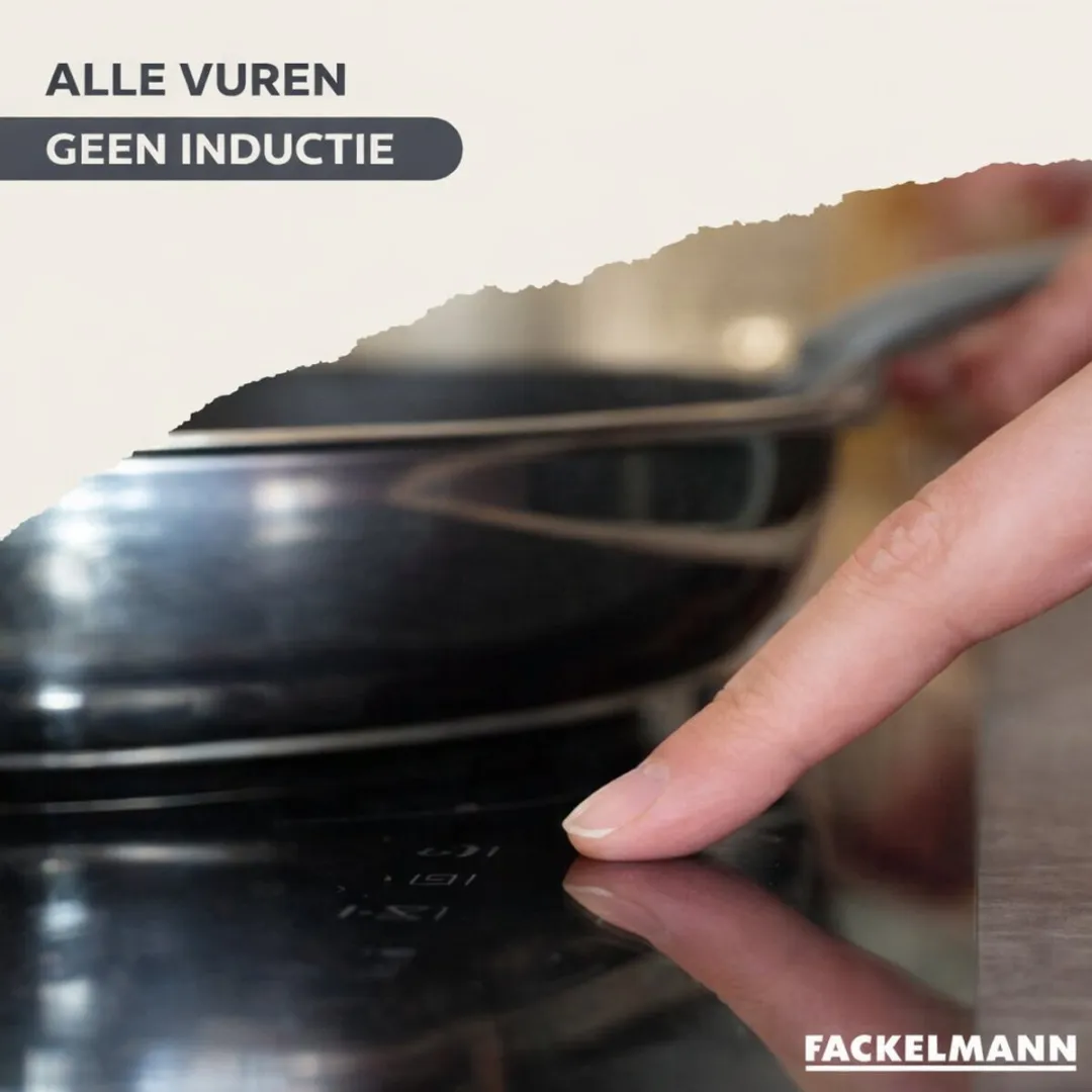 Fackelmann 9220050B88 Kookset - 2 Koekenpannen 20/24cm + 3 Steelpannen 16/20/24cm + 5 Keukengerei - Roestvrij staal