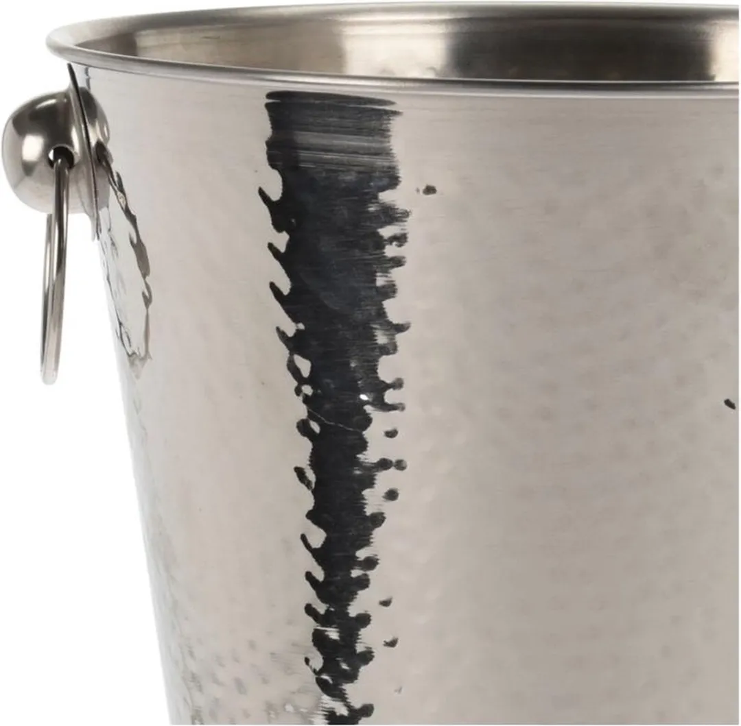 Excellent Houseware Champagne & Wijnfles Koeler 3L - Zilver