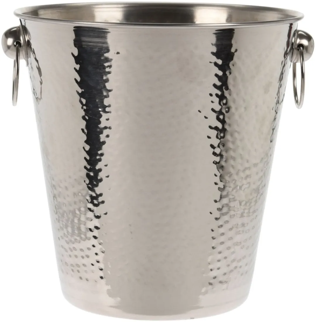 Excellent Houseware Champagne & Wijnfles Koeler 3L - Zilver