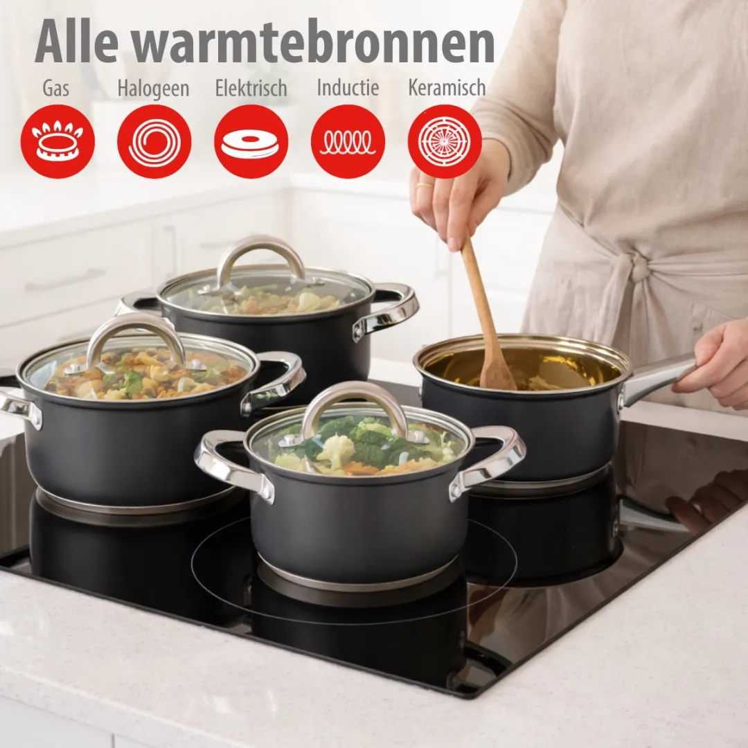 Alpina Inductie Pannenset 4-delig RVS - 7 Stuks - Zilver