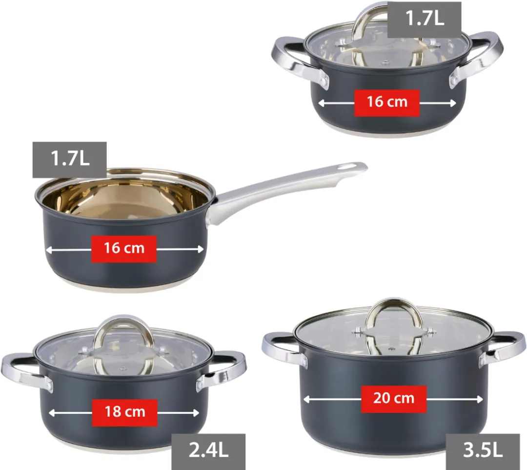 Alpina Inductie Pannenset 4-delig RVS - 7 Stuks - Zilver