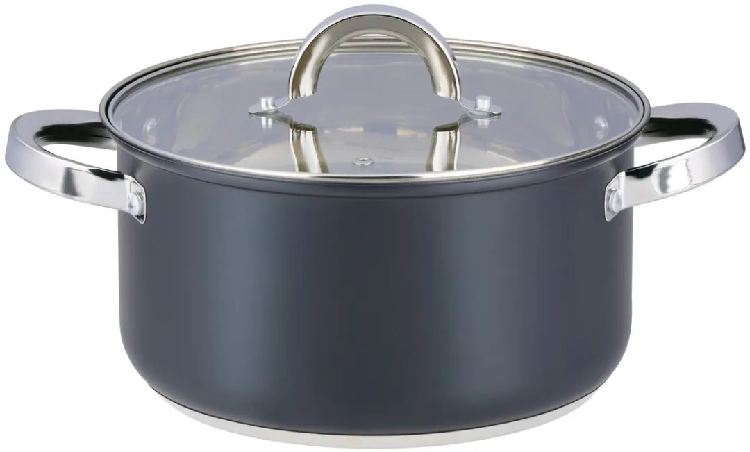 Alpina Pan 4.7L Ø22cm