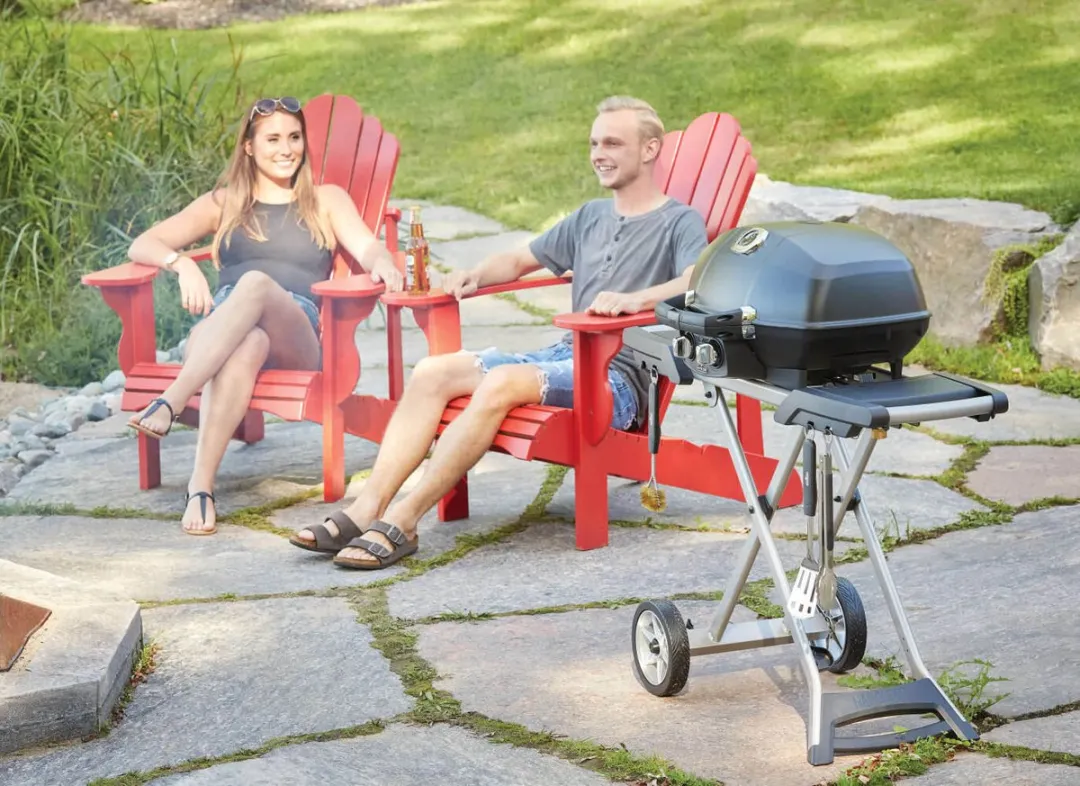 Napoleon TravelQ PRO 285X Gas BBQ 54cm - 2 Branders