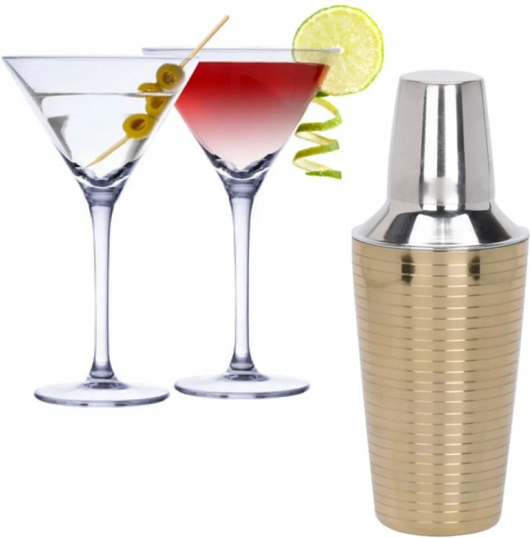 Alpina Martini Cocktailset 5-delig - 220ml - RVS Shaker