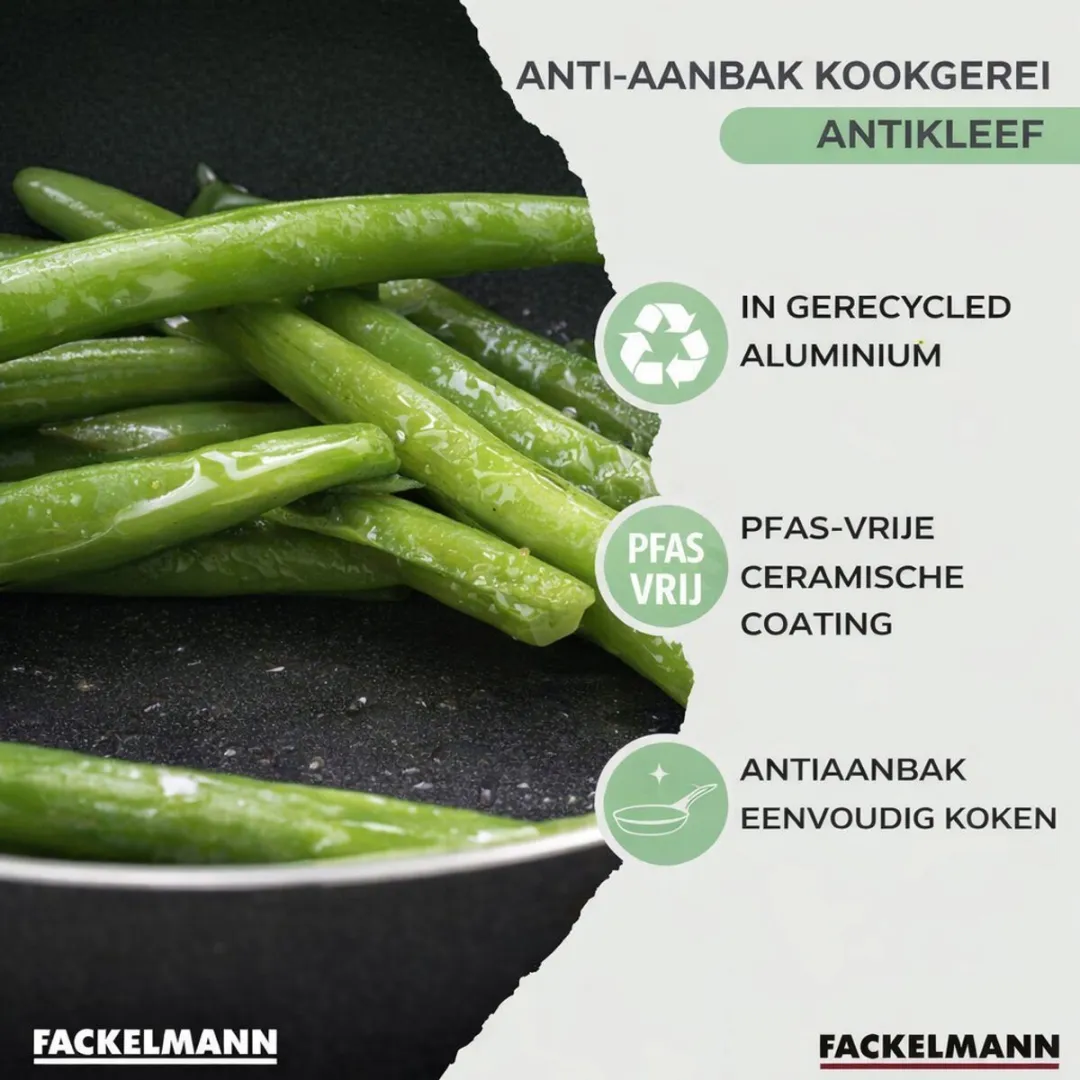 Fackelmann 688127 Pan 20cm - Inductie/Gas/Zwart-Groen