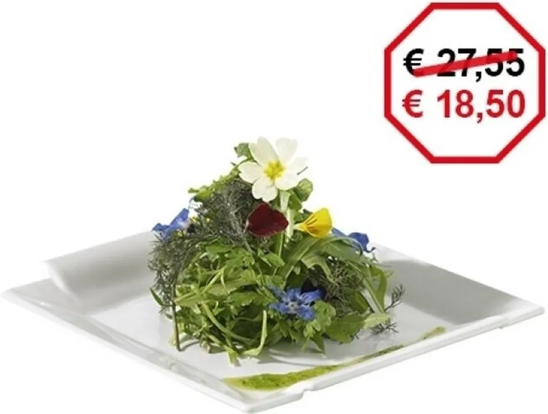 Revol Bord 31cm