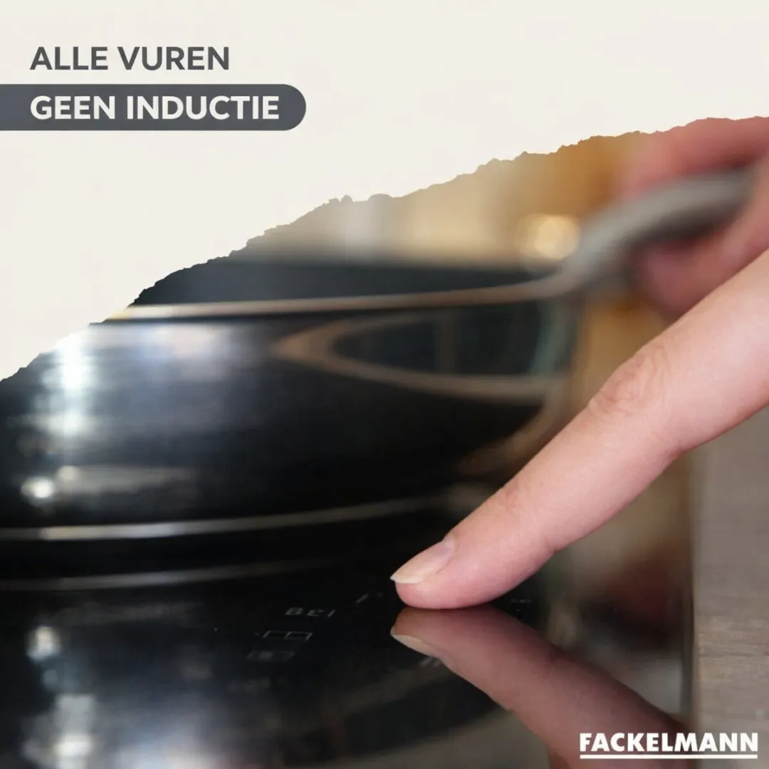 Fackelmann 9443550 Set Roestvrijstalen Pannen 12/16/20/24cm - Inductie