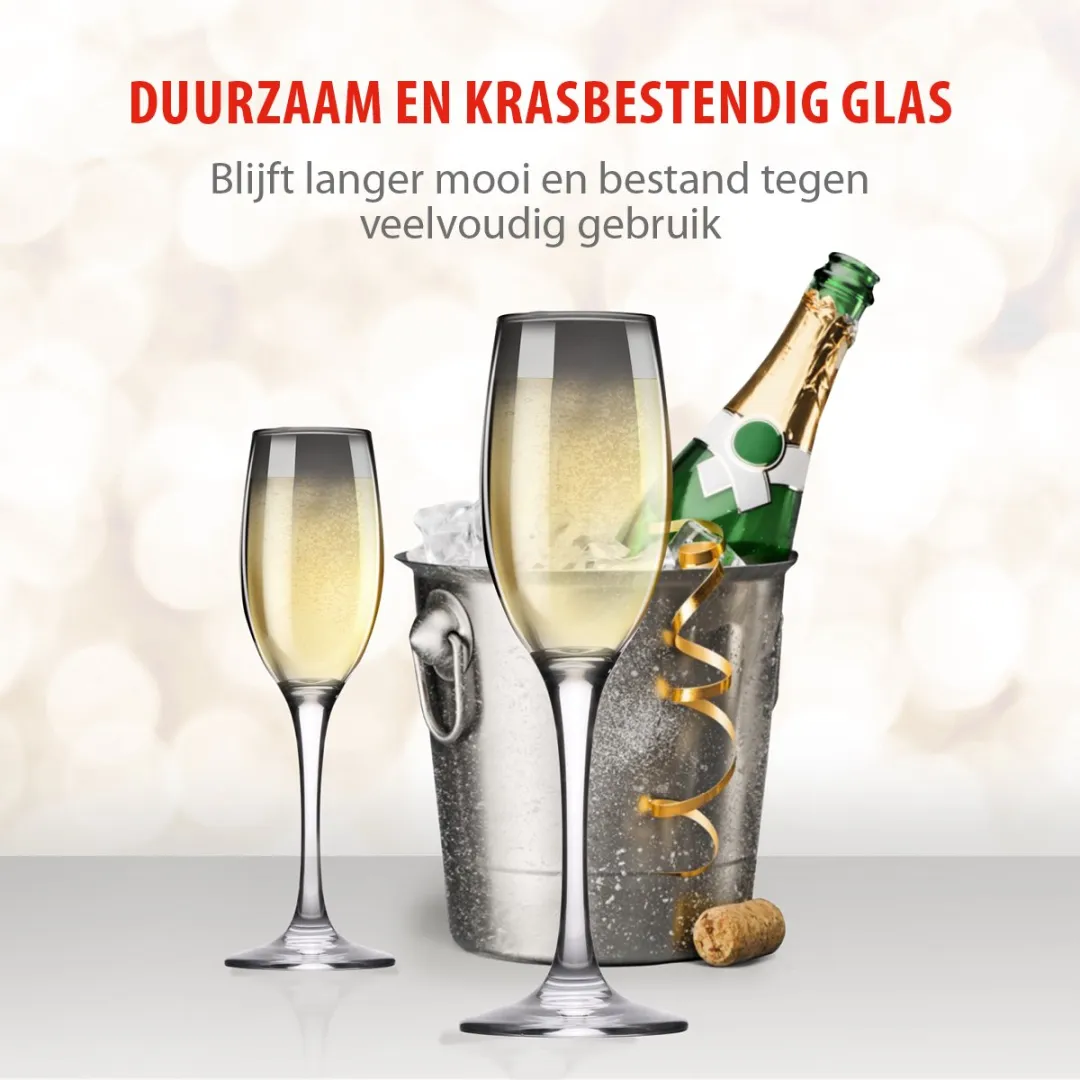 Alpina Champagneglazen Set 4 Stuks - Smoked