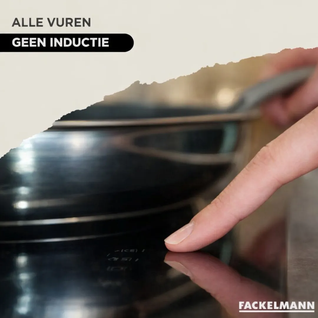 Fackelmann Set van 2 Pannen 20cm & 24cm - Roestvrijstaal