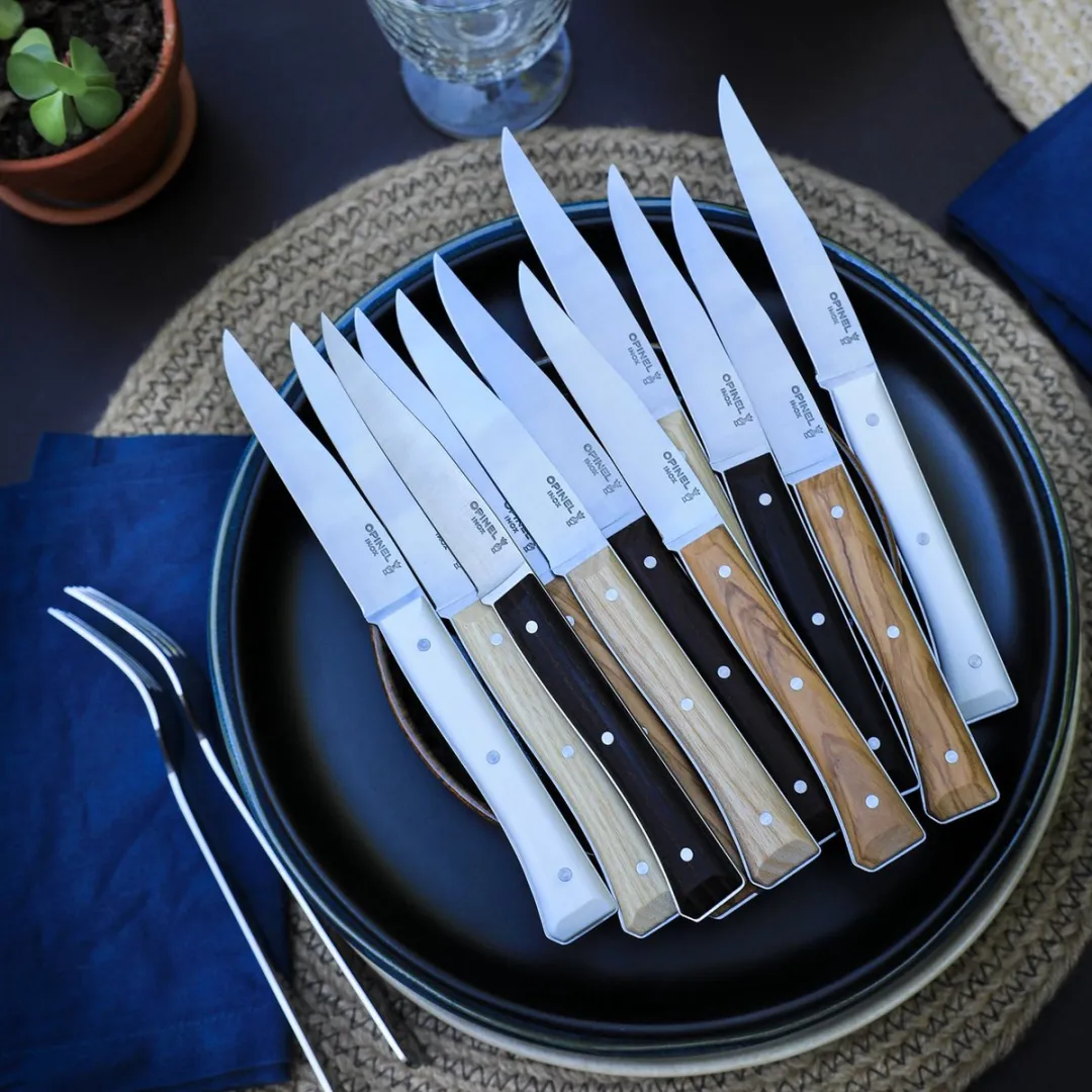 Opinel Facette Tafelmessenset 11cm - 4-delig - Panaché