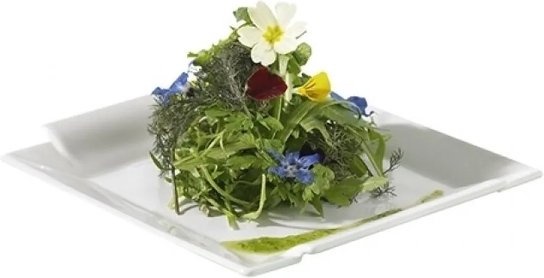 Revol Bord 23x23cm Wit - 735493