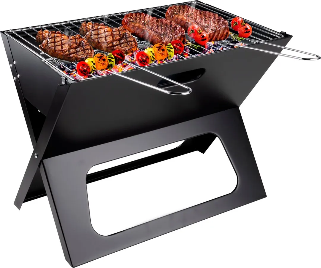 Alpina Tafel BBQ Houtskool 30cm - Zilver