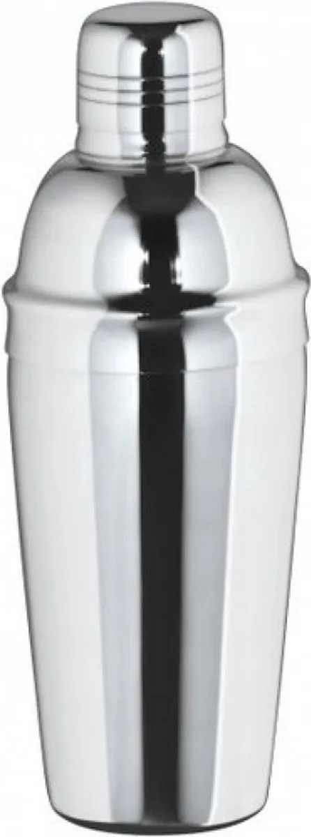 Excellent Houseware Cocktailset EH-1250100 - 500ml + 4x Martini Glazen 260ml