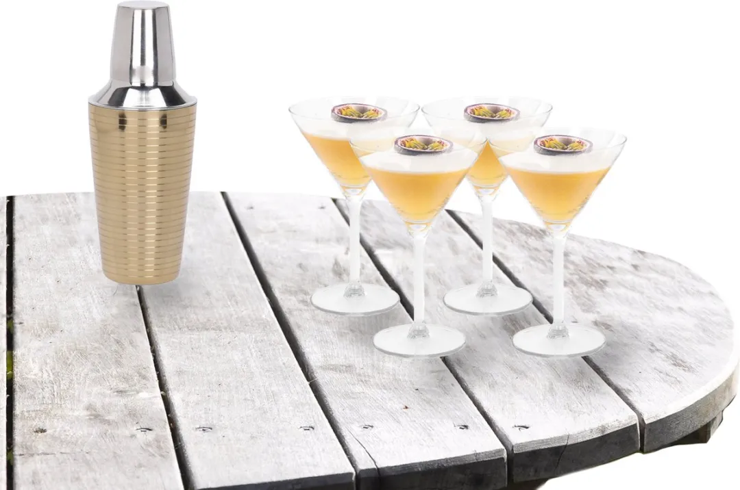 Excellent Houseware Cocktailset EH-1250100 - 500ml + 4x Martini Glazen 260ml