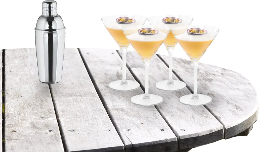 Excellent Houseware Cocktailset EH-1250100 - 500ml + 4x Martini Glazen 260ml