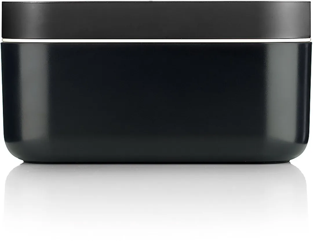 Lékué IJsblokjesvorm met bewaardoos - Black