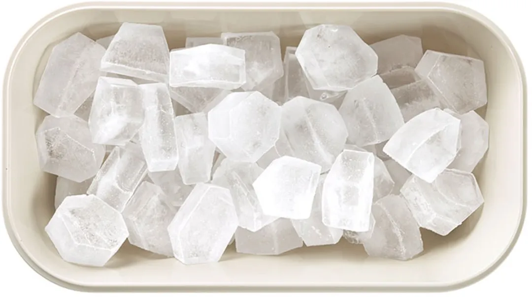 Lékué IJsblokjesvorm met bewaardoos - Black