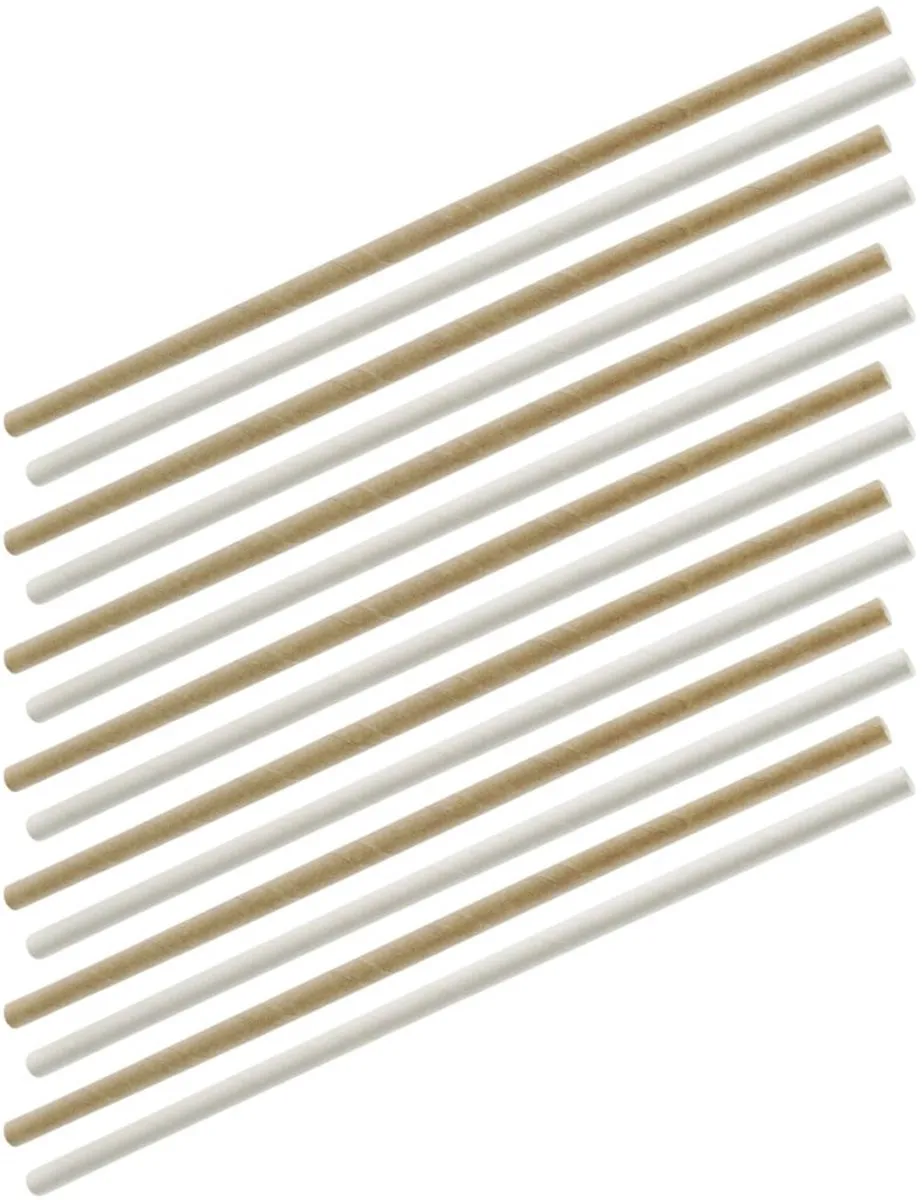 Fackelmann Papieren Rietjes Set 60 Stuks