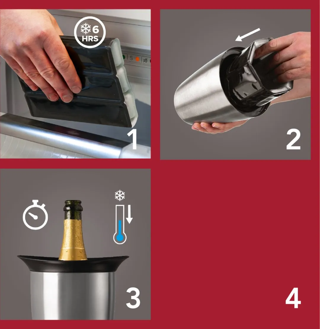 VacuVin Active Cooler Champagne Case - RVS Zilver