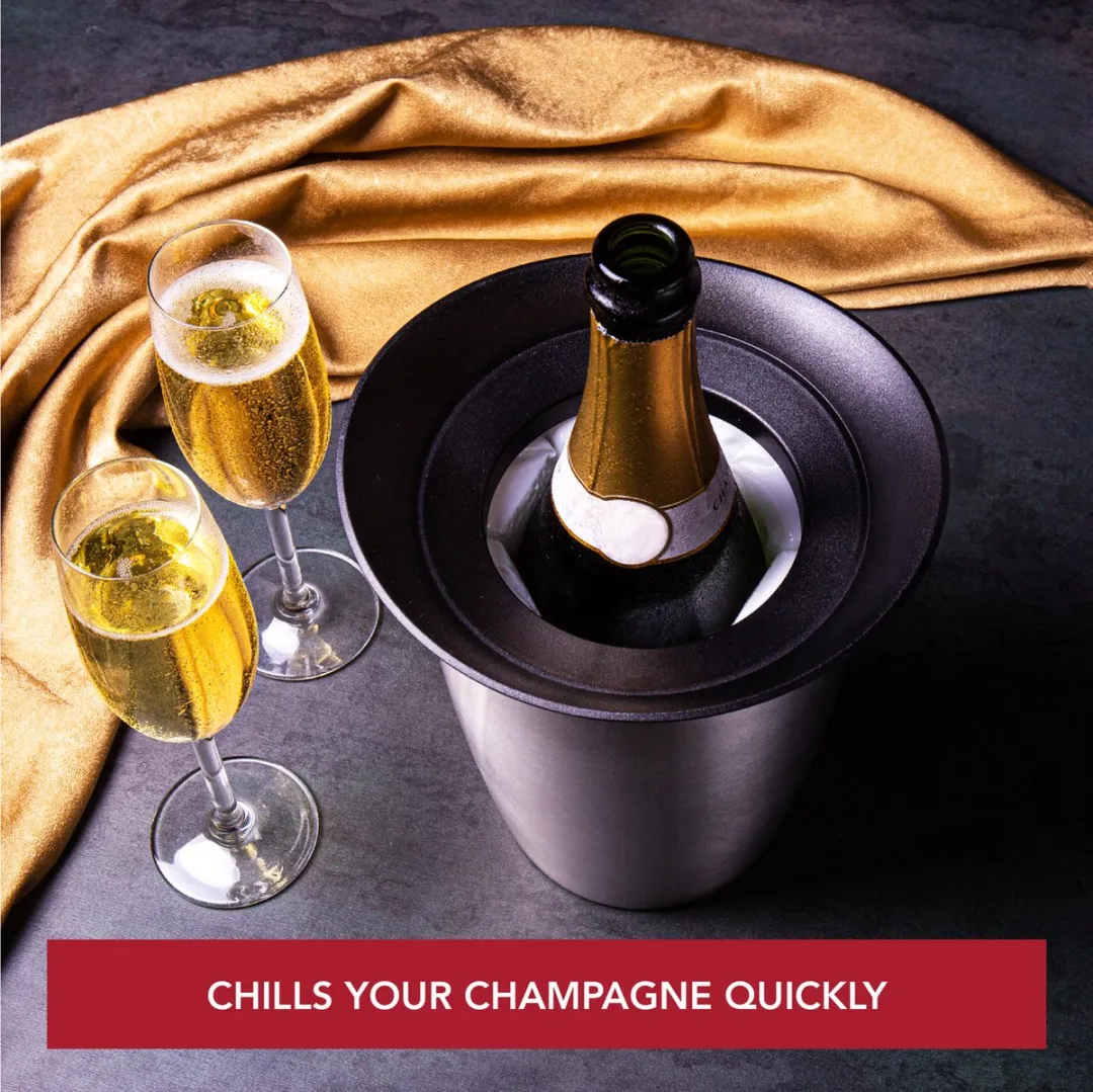 VacuVin Active Cooler Champagne Case - RVS Zilver