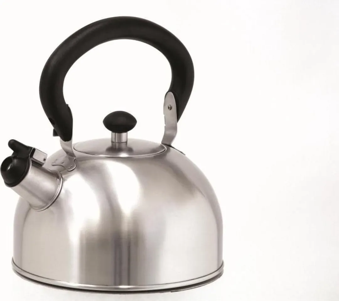 Ibili Fluitketel RVS 1.5L