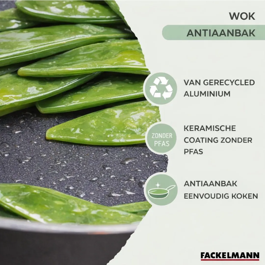 Fackelmann 688125 Wok 20cm - Inductie/Gas/Zwart-Groen