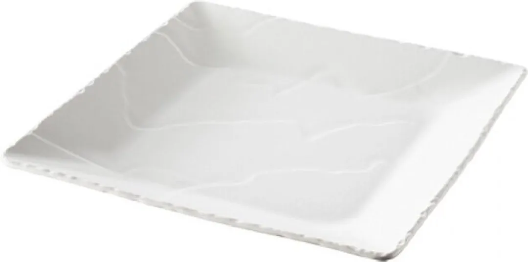 Revol Bord 28cm