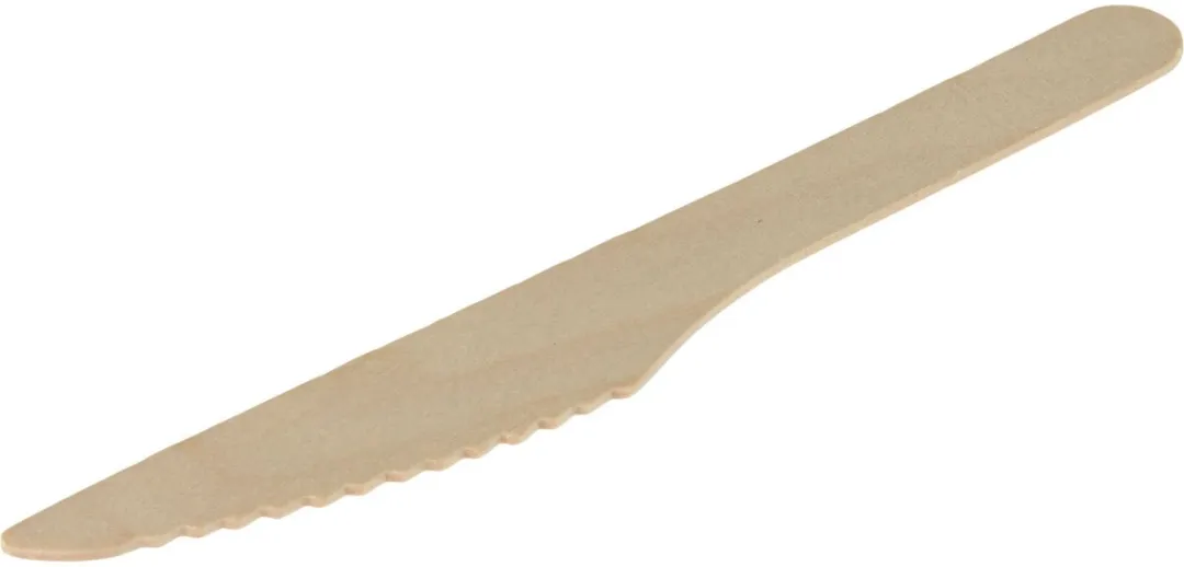 Excellent Houseware Wegwerp Bestek 240-delig - 16cm - Beige