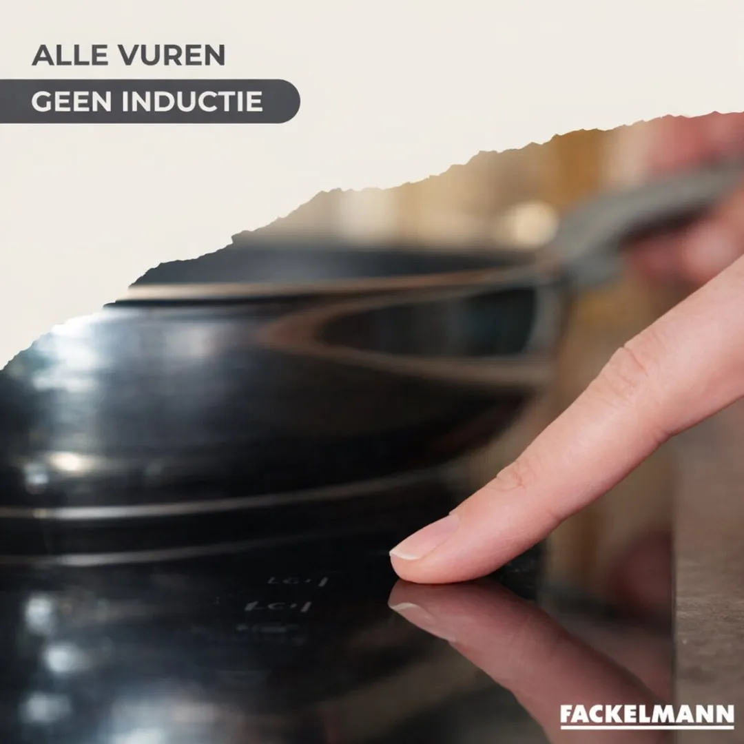 Fackelmann Koekenpan 24cm - Roestvrij staal - Inductie - Zwart