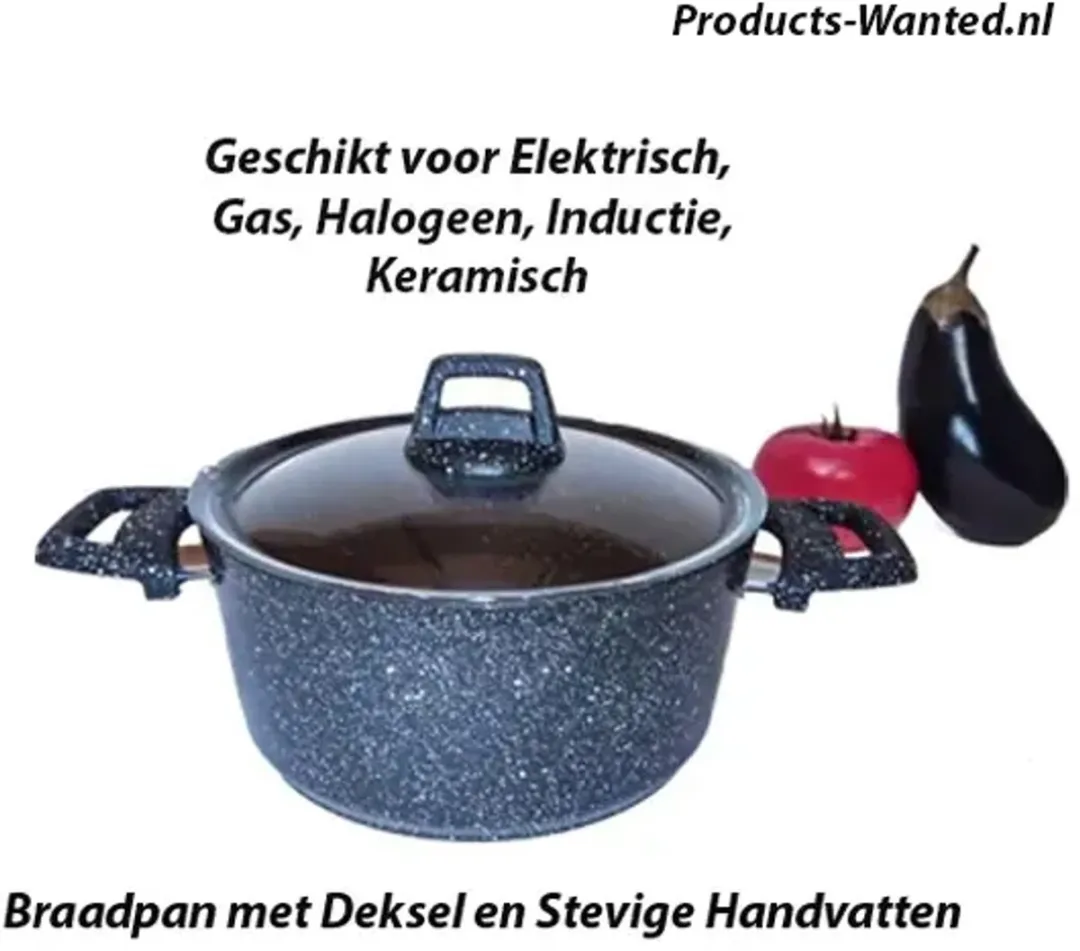 Excellent Houseware Braadpan 24cm - 4.4L - Zwart