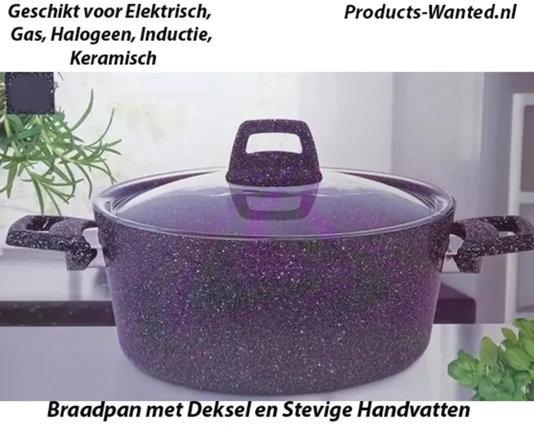 Excellent Houseware Braadpan 24cm - 4.4L - Zwart