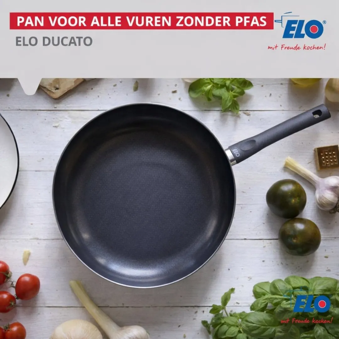 Fackelmann Elo 6652026 Koekenpan 20cm