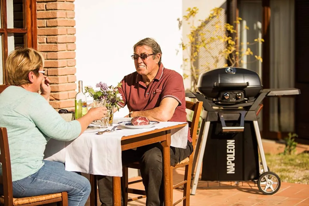 Napoleon Kar voor travel q pro285