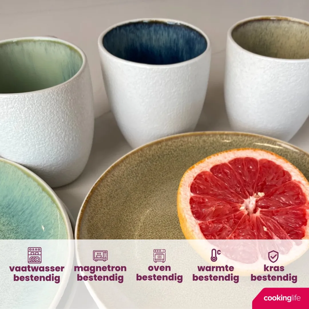 Cookinglife Mok Belize - 6 Stuks 330ml - Blauw/Bruin/Groen/Wit