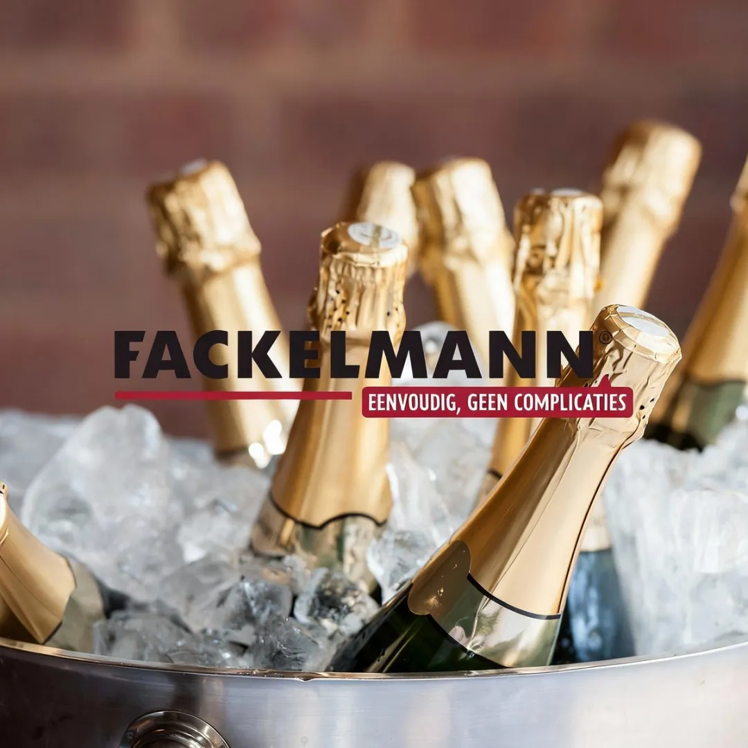 Fackelmann 49576 Koeltas voor flessen - Zwart - afbeelding 5 van 6