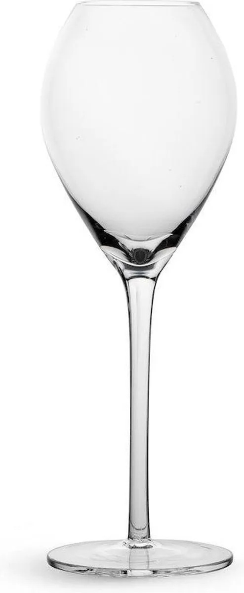 Sagaform Champagne Glazen 2 Stuks