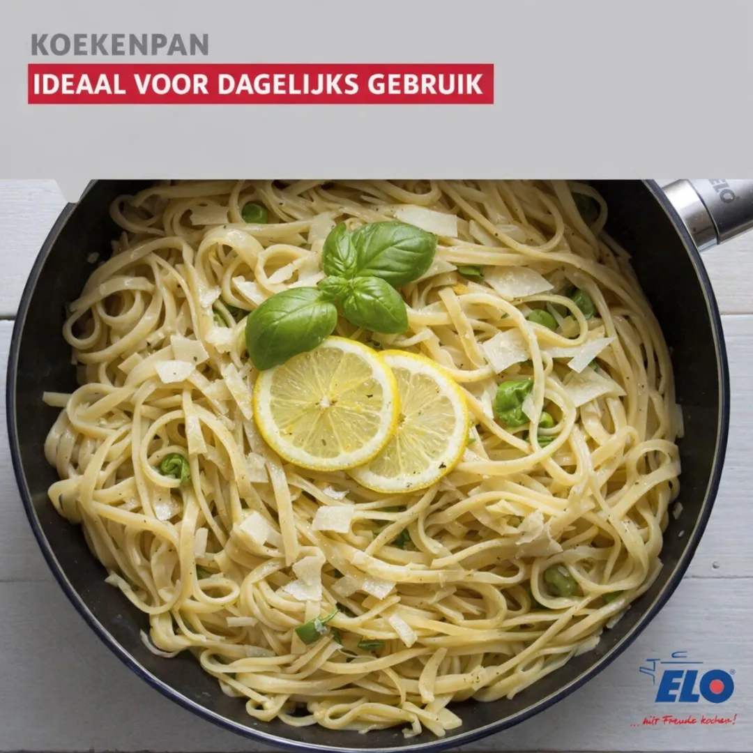 Fackelmann Elo 6652426 Koekenpan 24cm - Grijs/Zwart
