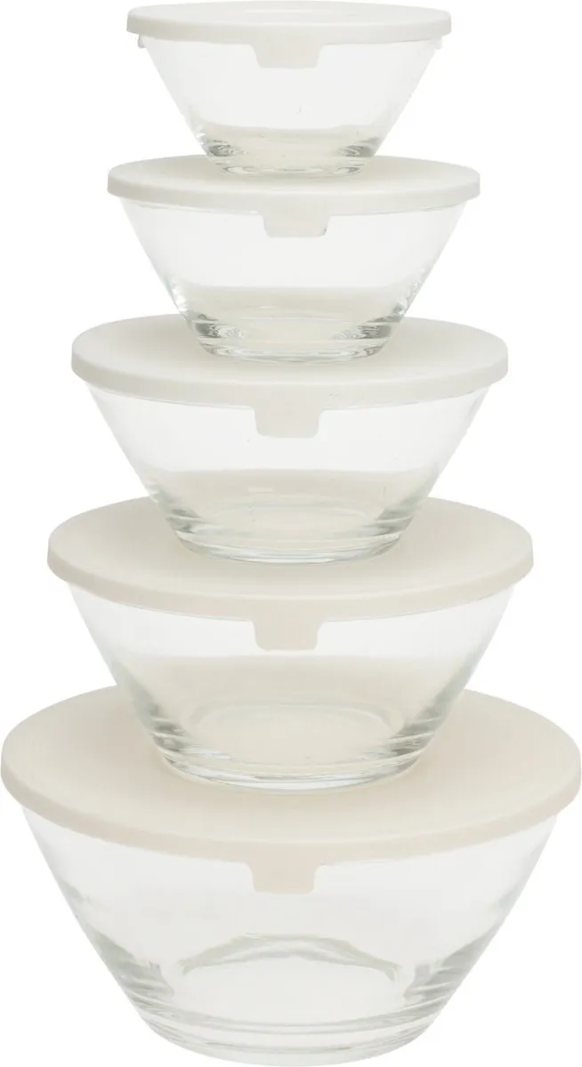 Excellent Houseware Schalenset 5-delig - Luchtdicht - Multicolor