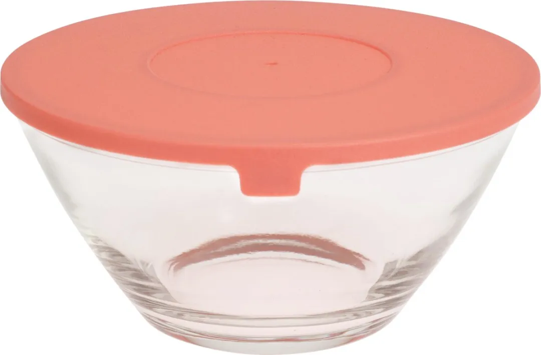 Excellent Houseware Schalenset 5-delig - Luchtdicht - Multicolor