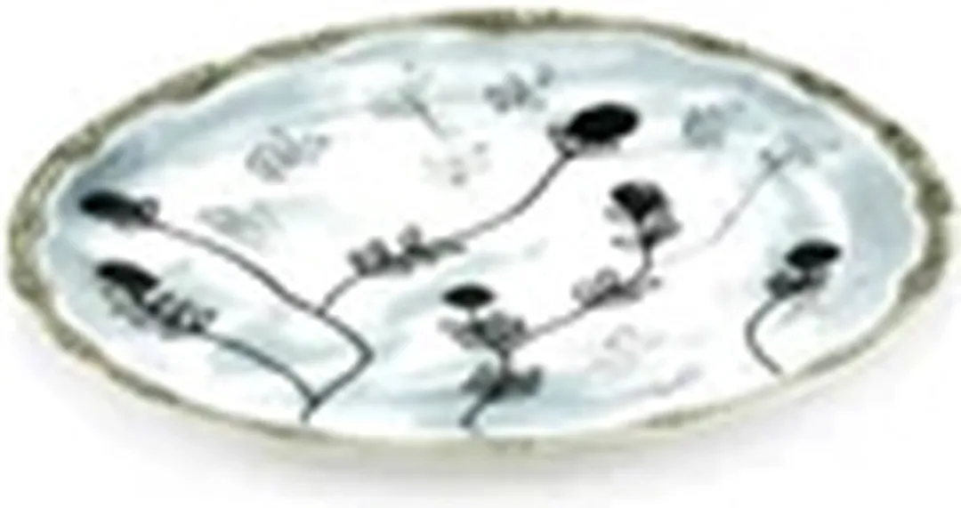 Serax Marni Midnight Flowers Mirtillo Thee Bord