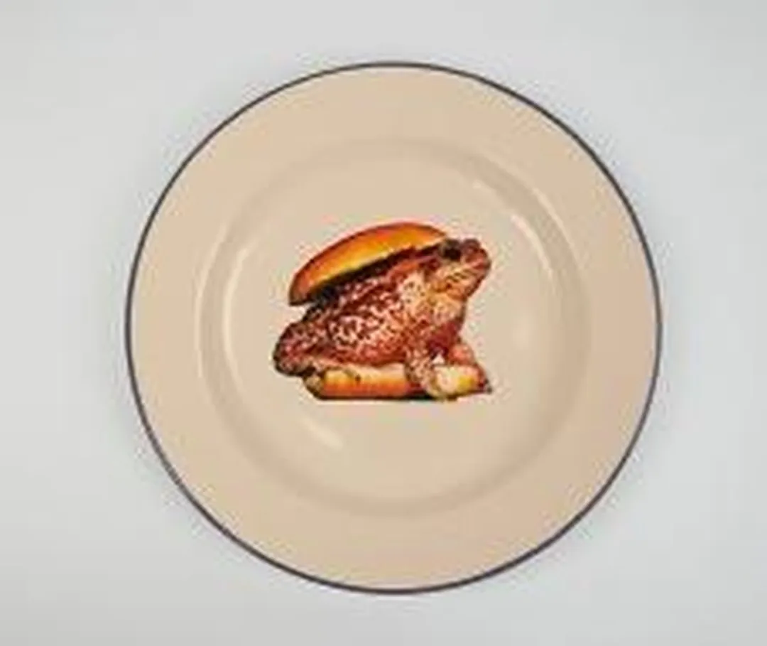 Seletti 2ST Emaille Bord 'Frog' 16842