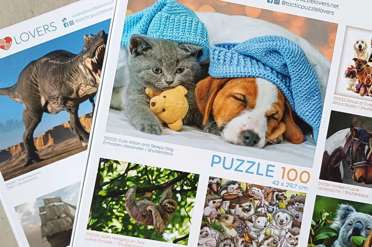 Tactic Cute Kitten & Sleepy Dog Puzzel 100 Stuks - 59232