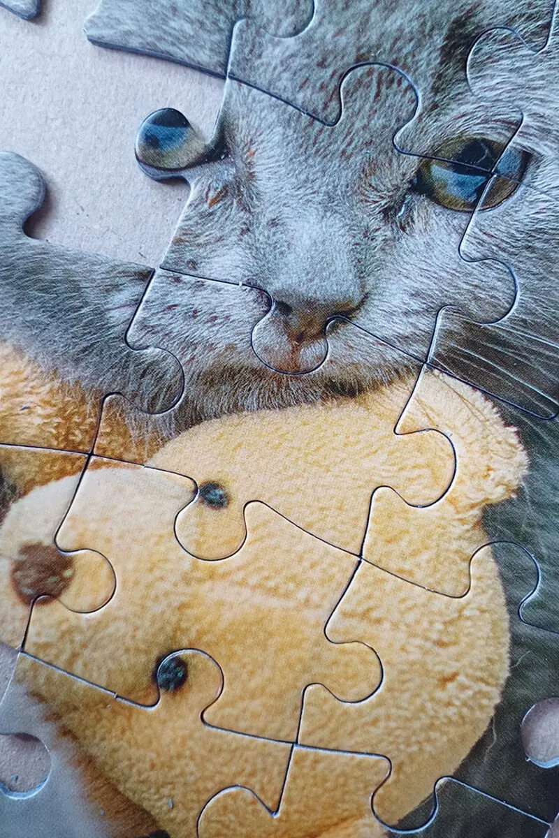 Tactic Cute Kitten & Sleepy Dog Puzzel 100 Stuks - 59232