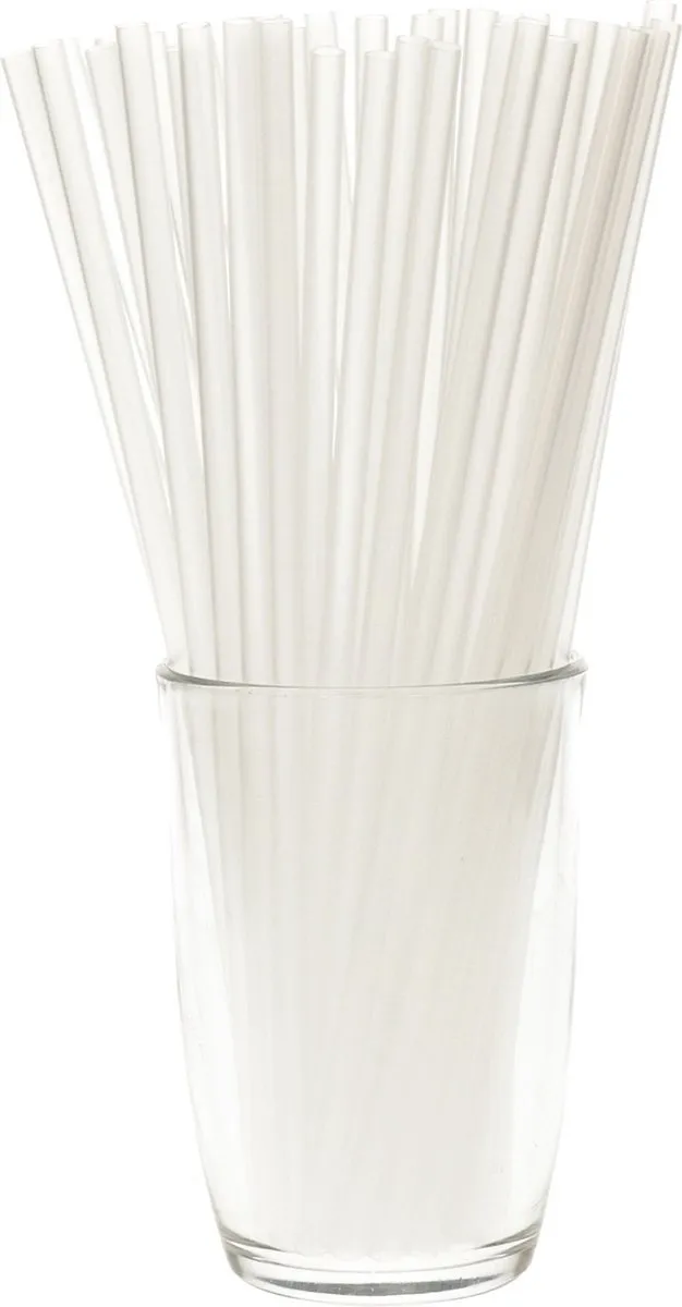 Excellent Houseware Herbruikbare Rietjes 100 Stuks