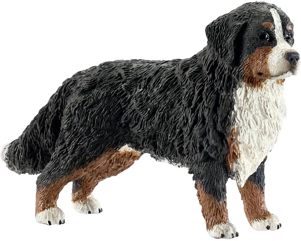 Schleich Berner Sennenteef 16397 - Zwart
