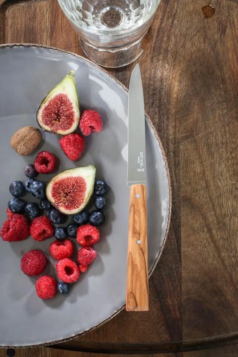 Opinel N°125 Bon Appétit Sud Tafelmessenset - 4-delig - Olijfhout - RVS - Bestek -Steakmes