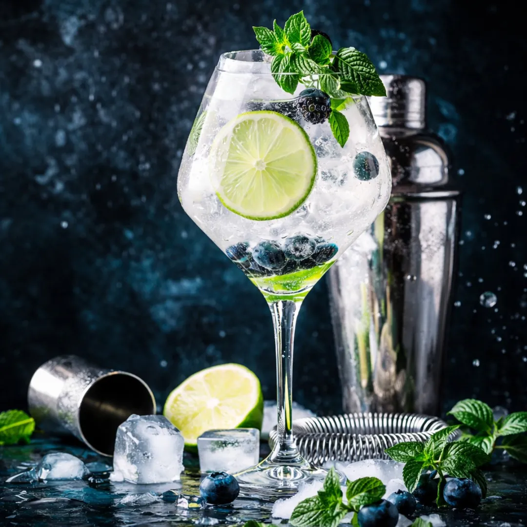 Alpina Gin Tonic Cocktailglazen 4 Stuks - 730ml