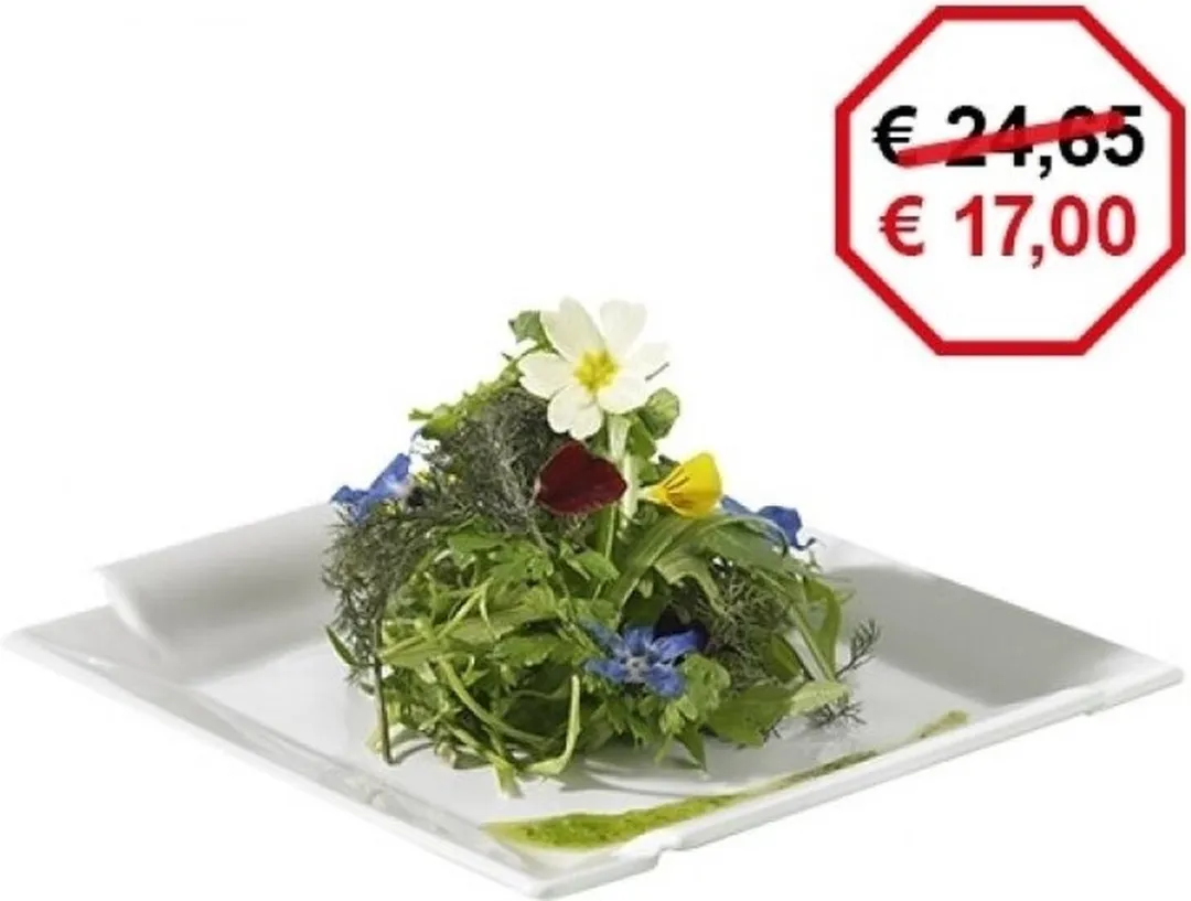 Revol Bord 27x27cm 735494