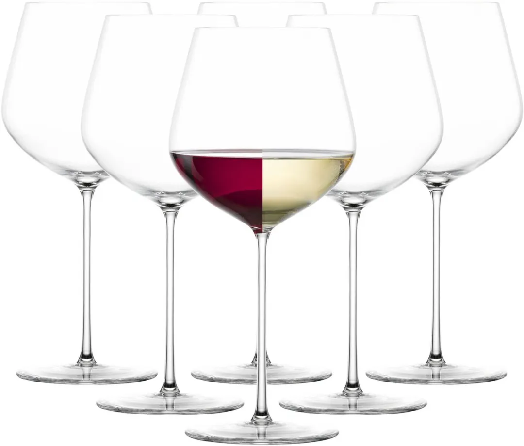 Zwiesel Glas VUELO Allround Wijnglazen Set