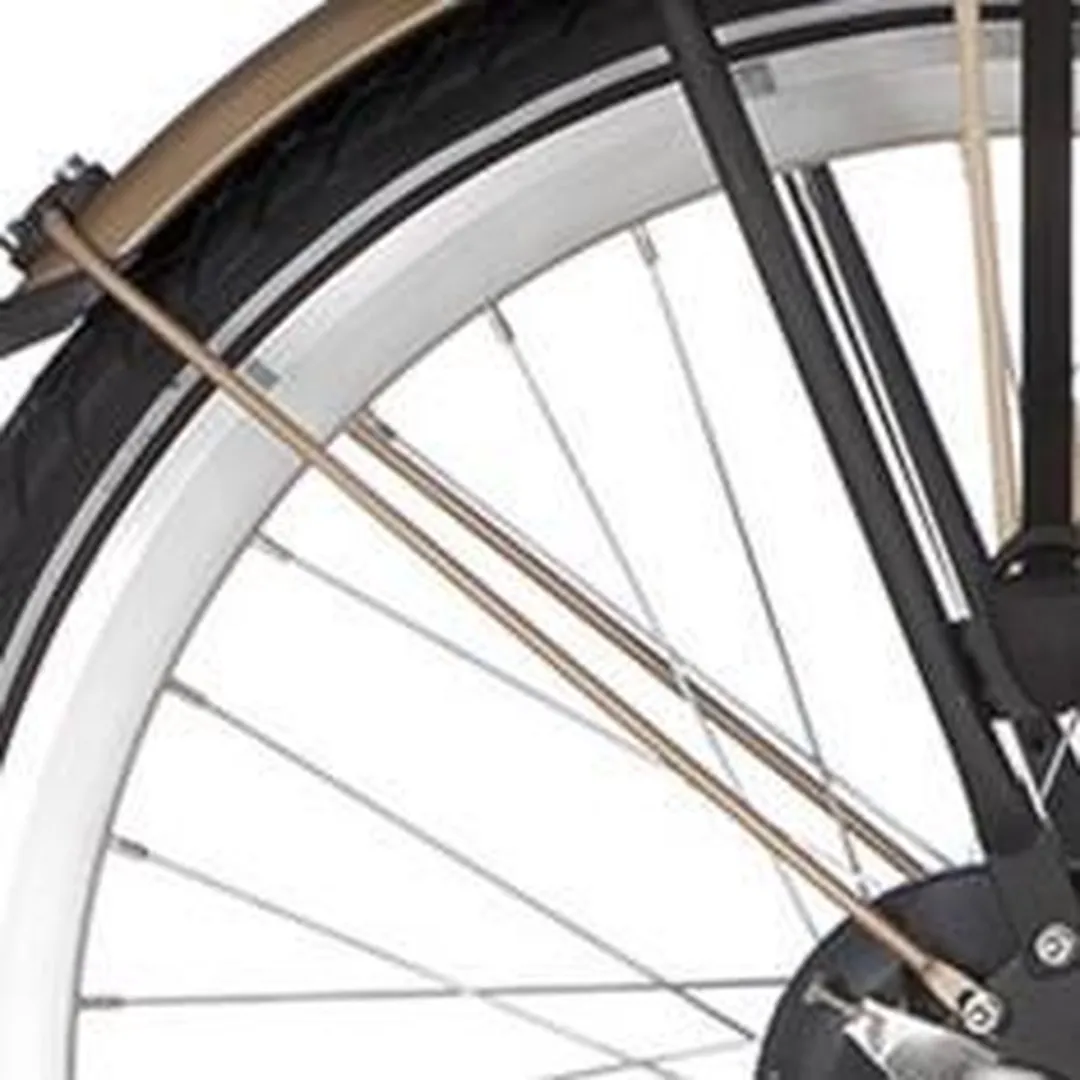 Alpina Spatbordstang Achter 26 Curve Mattgold